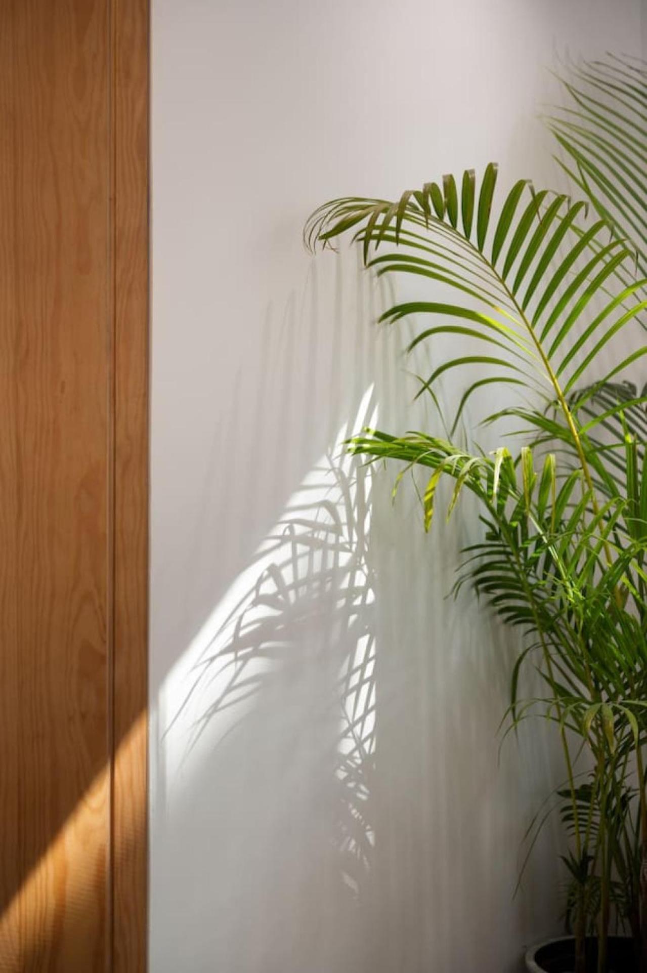 Western By Spacey - In Maadi Apartment